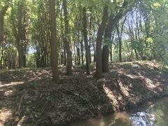 -动邦皮划艇·桨板·独木舟·团建户外运动俱乐部