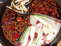 -白乐天毛肚火锅馆(解放碑店)