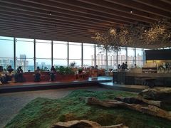 -Seesaw Coffee(朝阳大悦城店)