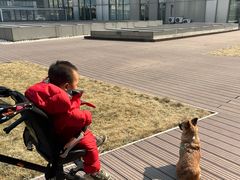 -百好乐宠物友好餐厅(朝外大街店)