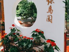-张鸟园农家乐(张鸟园店)