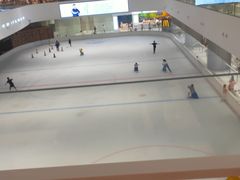 -TheRink大零溜冰场(IFS国金中心店)