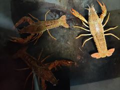 -大桶大足浴(周浦店)