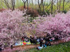 -洛阳市隋唐城遗址植物园