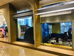 -KIDults童伴儿亲子餐厅(达美中心广场店)