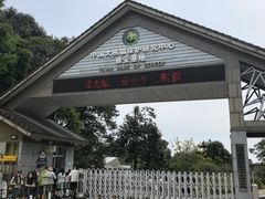 -中国大熊猫保护研究中心雅安碧峰峡基地