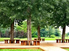 -羊亭河湿地公园