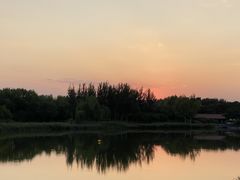 -大兴滨河森林公园