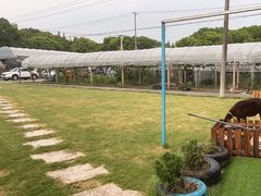 -美家乐农庄·露营·团建(大治路店)