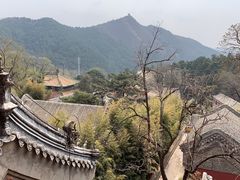 -潭柘寺景区