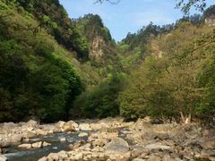 android_upload_pic-黎坪国家森林公园