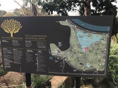 -墨尔本皇家植物园