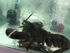 -J Daeng Seafood