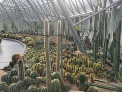 -深圳仙湖植物园