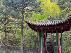 -藏山旅游风景区