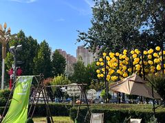 -港悦广场