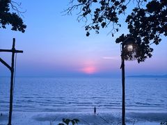 -卷心菜和避孕套餐厅(Pattaya)