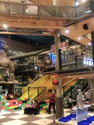 -卡通尼·Safari非洲探索乐园·生日会(金桥国际商业广场店)