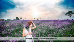 4-都市丽人婚纱摄影