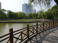 -迎泽公园