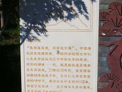-莲花池公园
