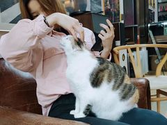-黑胶星球(华发中城商都店)