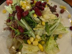 田园时蔬沙拉-布拉格餐厅· 中欧捷克菜(全国首店)