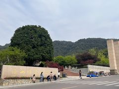 -铁山坪森林公园