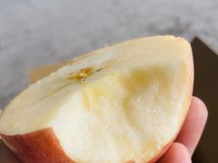 -双福水果批发市场