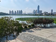 -古琴台