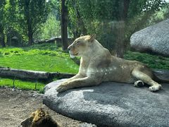 -北京野生动物园