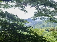 -比叡山