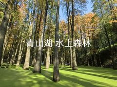 -青山湖景区