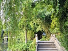 -水绘园