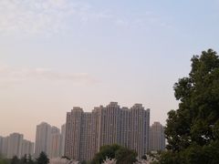 -堤角公园