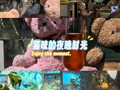 -咖法森林·咖啡  酒吧(天河店)