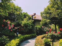 -中华郡文化旅游景区
