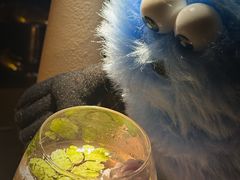 -Shift cocktail bar鸡尾酒吧