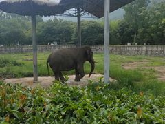 -西安秦岭野生动物园