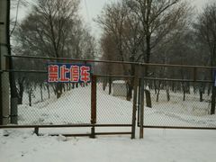 android_upload_pic-神鹿雪场