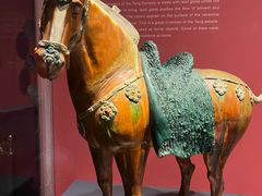 -陕西历史博物馆