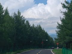 -塞罕坝国家级自然保护区