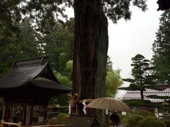 富士山本宫浅间大社-富士山本宫浅间大社
