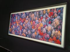 -罗红摄影艺术馆