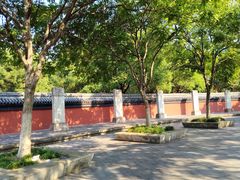 -观潮胜地公园