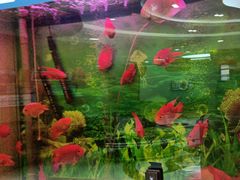 -雅悦齿科(顾村公园店)