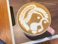 -SAFARI COFFEE