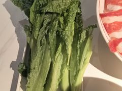 -小龙坎火锅(IFS HOT店)