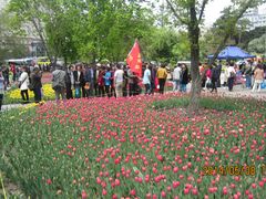 老年团-长春公园(普阳街道)