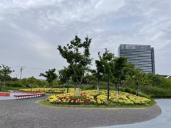 -春花秋色城市公园